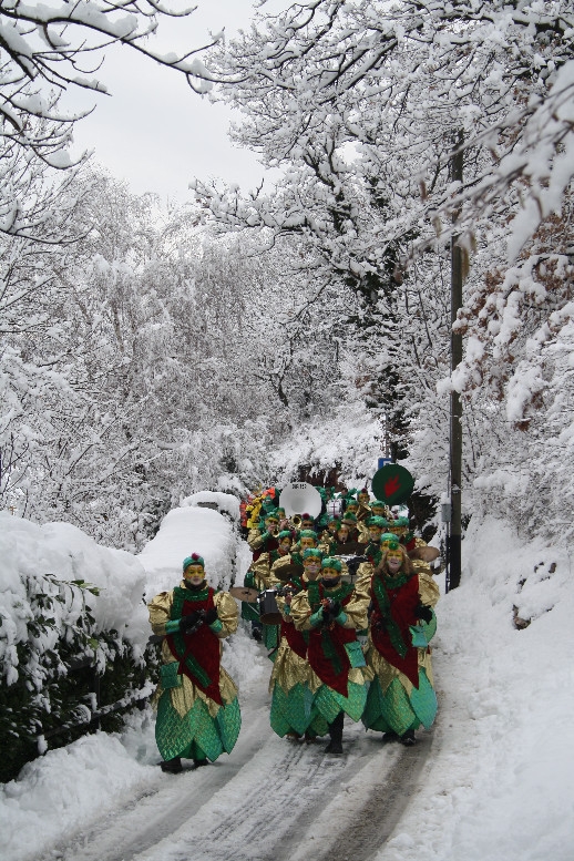 gran_carnevale_tremonese_2012 (07).jpg